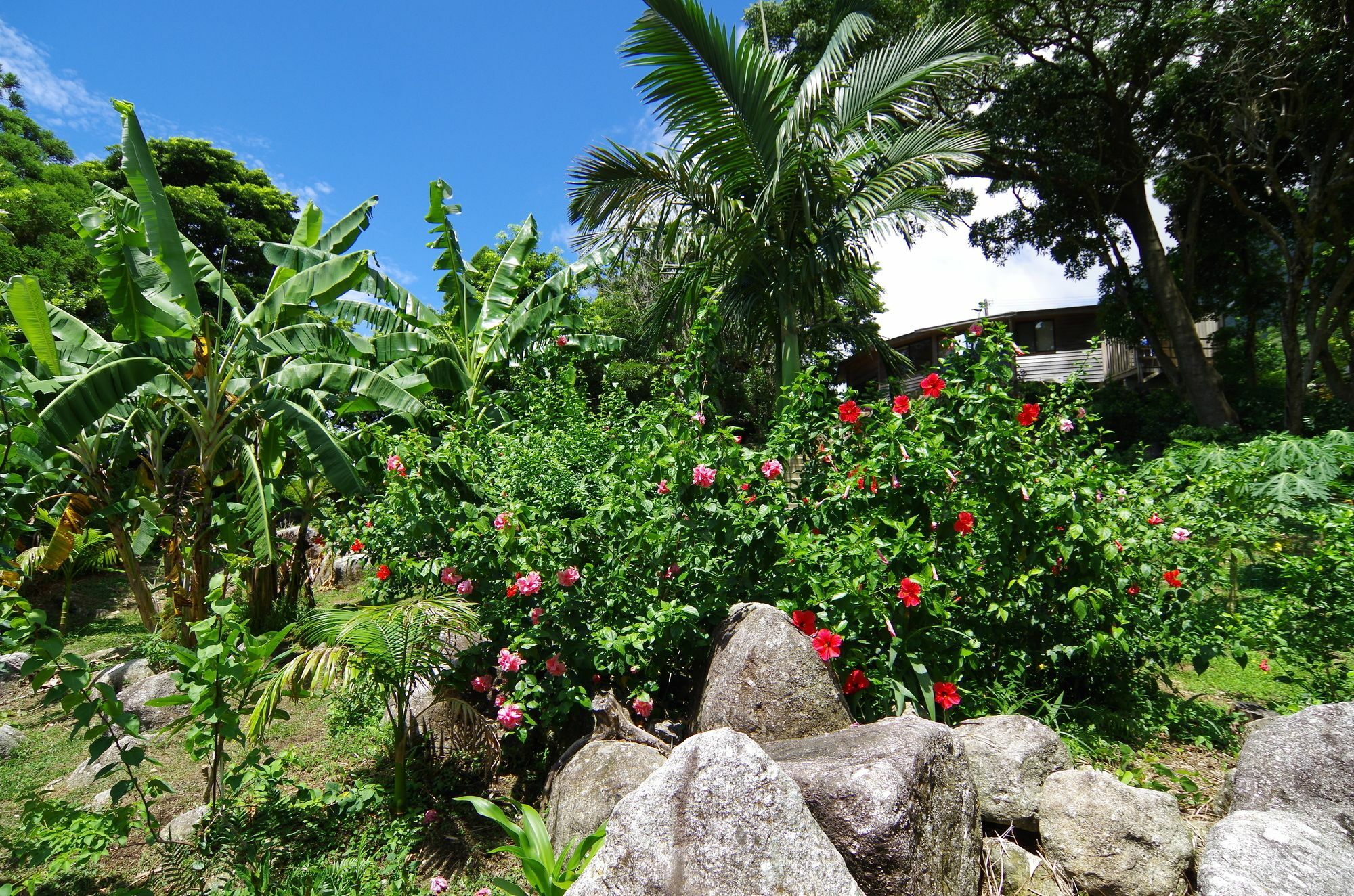 Cottage Views Yakushima  Exterior foto